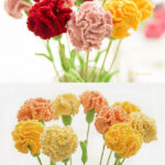 Beautiful Carnation Flower Free Crochet Pattern For Mother’s Day