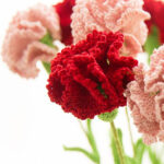 Beautiful Carnation Flower Free Crochet Pattern For Mother’s Day