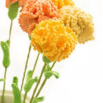 Beautiful Carnation Flower Free Crochet Pattern For Mother’s Day